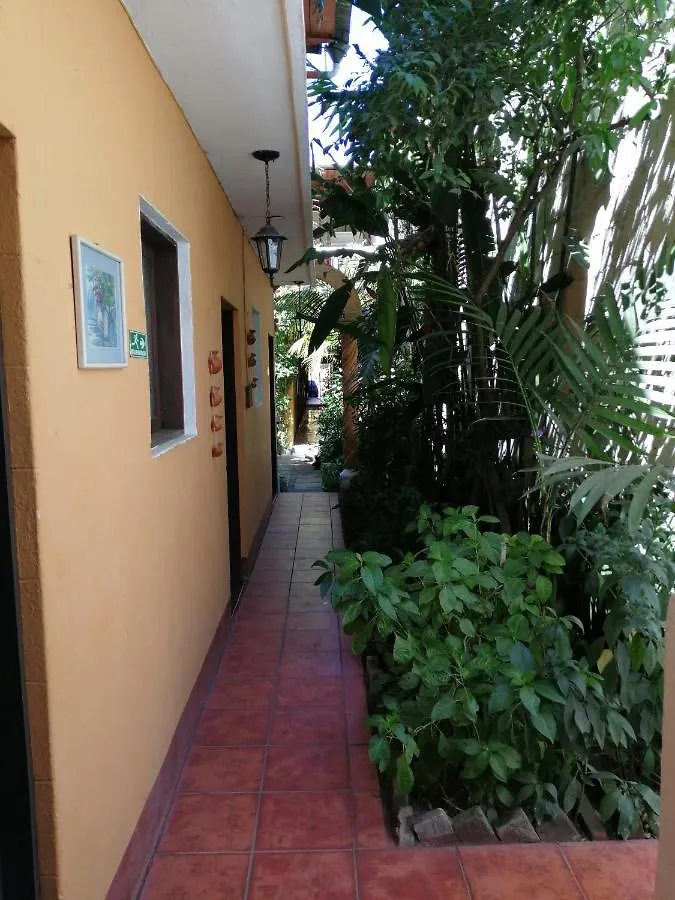 Hotel Internacional Guest House Antigua Guatemala